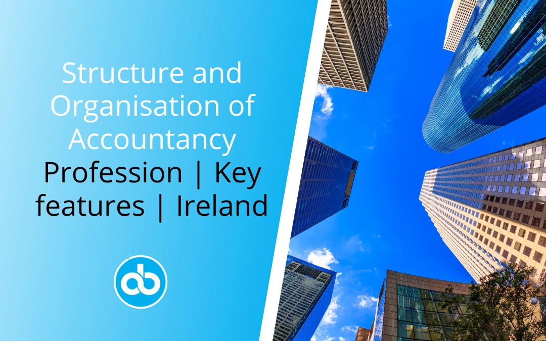 Structure and Organisation of Accountancy Profession Key features